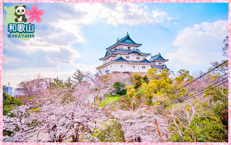 和歌山城公園・桜（イメージ）