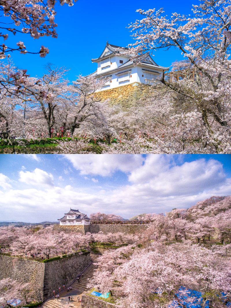 鶴山公園（イメージ）