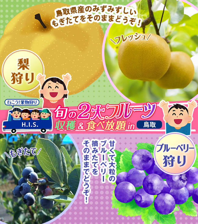 2大フルーツ収穫イメージ