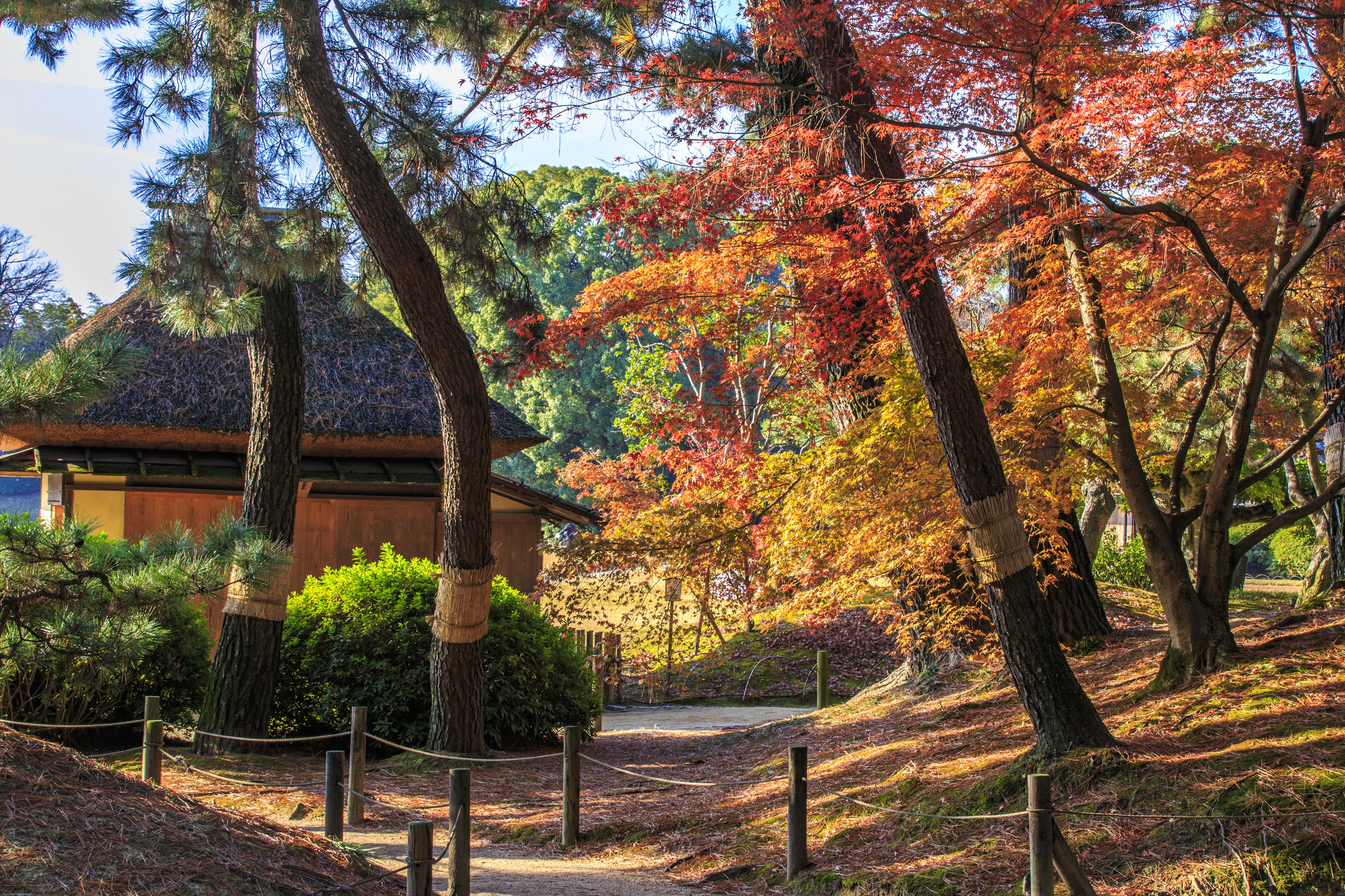 岡山後楽園（イメージ）写真提供：岡山県観光連盟