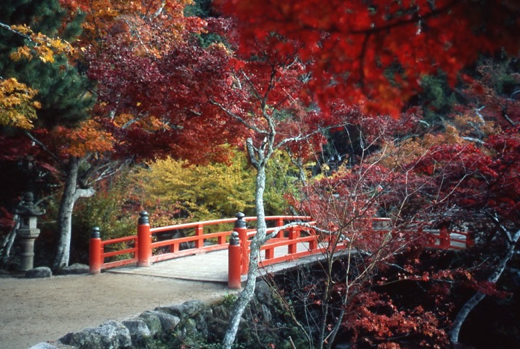 紅葉谷公園(イメージ)写真提供：広島県
