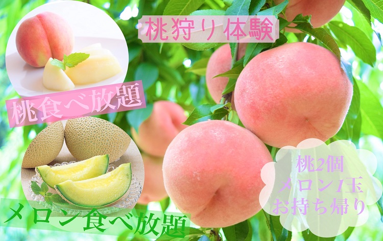 桃&メロン食べ放題イメージ※桃は衛生面から皮はご自身で剥いてからお召し上がりください。