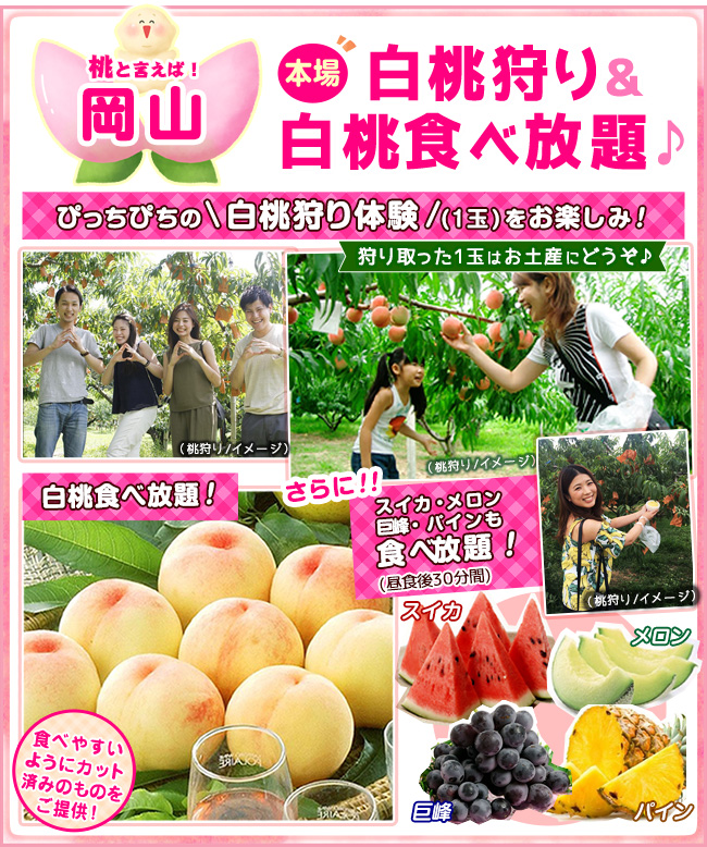 白桃狩り体験と5種冷え冷えフルーツ食べ放題（イメージ）