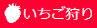 いちご狩り