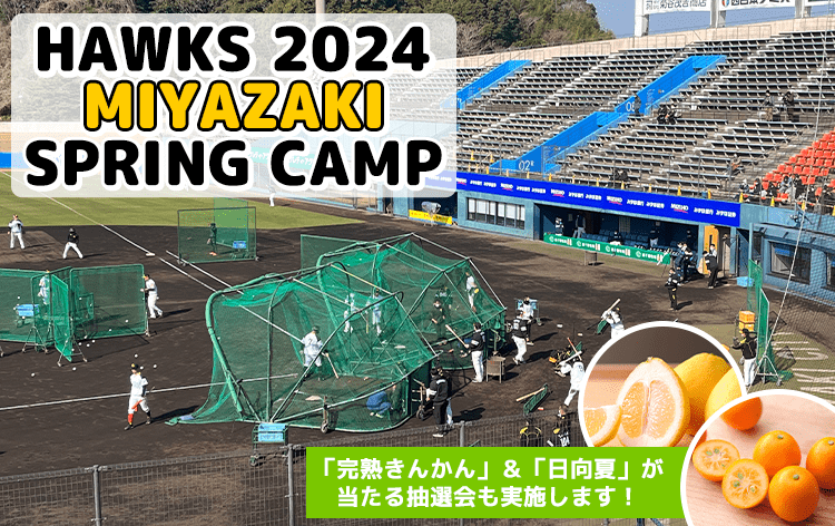 福岡ソフトバンクホークス 2024宮崎キャンプ 抽選補助券