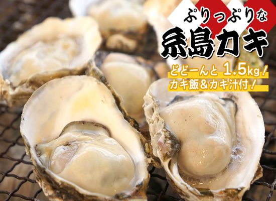 糸島カキの昼食（イメージ）