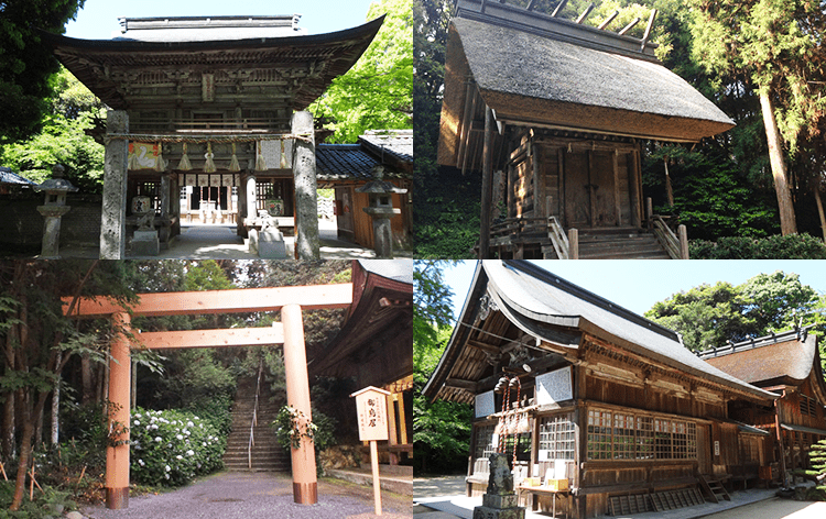 櫻井神社（イメージ）