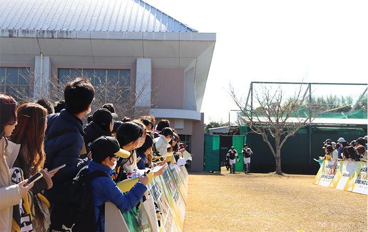 福岡ソフトバンクホークス春季キャンプ（イメージ）