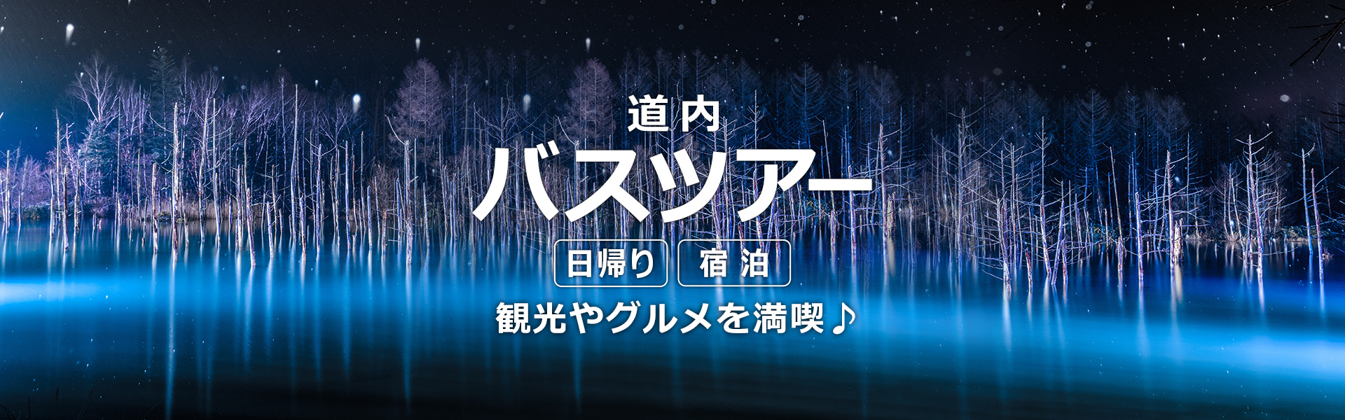 MVバスツアー_青い池_冬（検索モジュールなしバージョン）