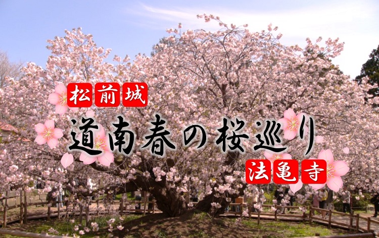 血脈桜(春)/イメージ