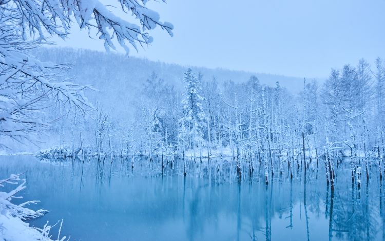青い池(冬)/イメージ