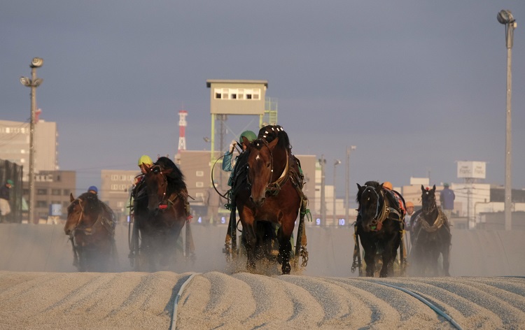 ばんえい競馬/イメージ