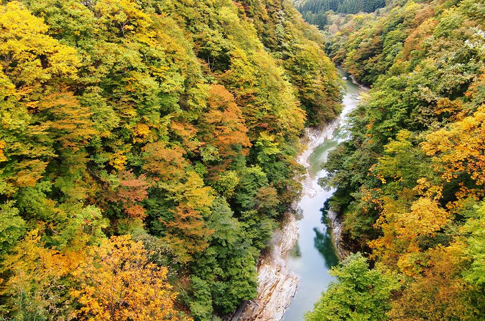 仙台駅発着 紅葉の小安峡と内蔵のまち増田 稲庭うどんを堪能 His 東北発