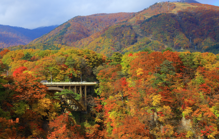 紅葉の鳴子峡（例年の見頃：10月中旬～11月上旬）／イメージ