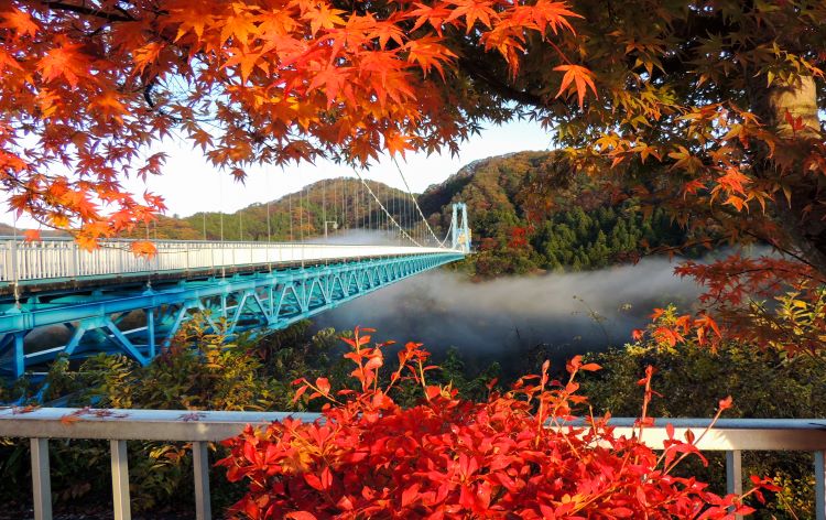 竜神大吊橋 提供：常陸太田観光物産協会