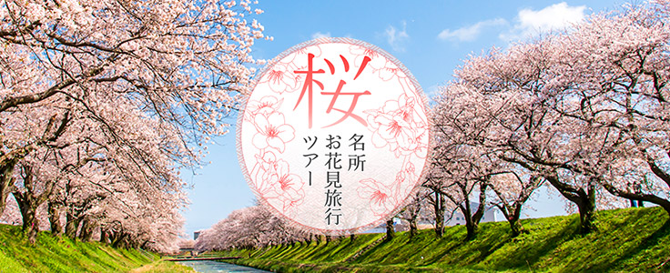 全国桜特集