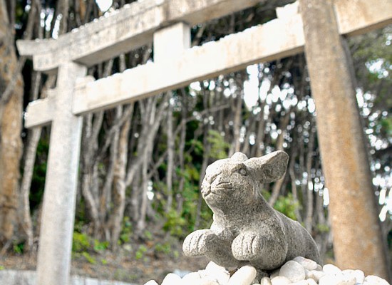 白兎神社/イメージ
