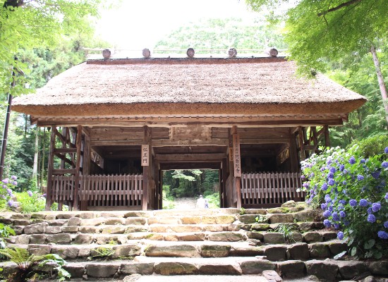 東大寺別院阿弥陀寺（6月頃）（イメージ）