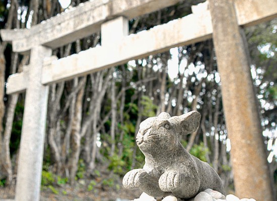 白兎神社（イメージ）