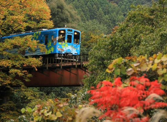 錦川鉄道（11月頃）/イメージ