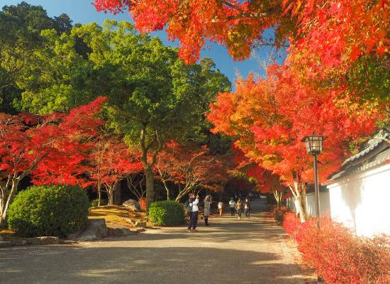 紅葉谷公園（11月頃）イメージ