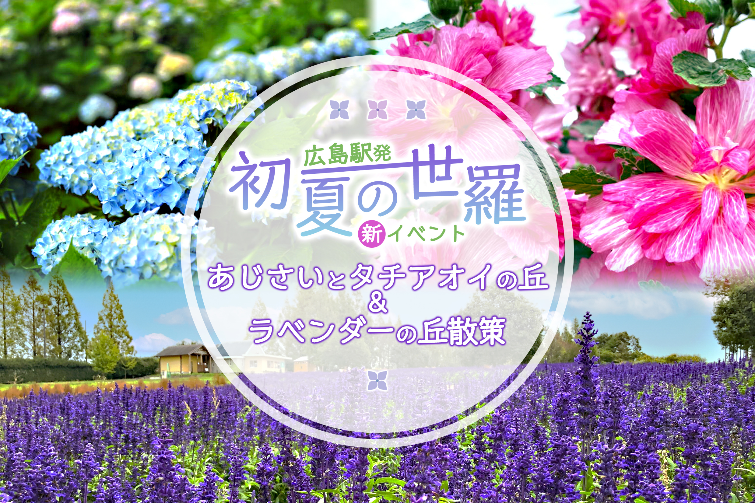 やっぱ広島じゃ割適用プラン 広島駅発 初夏の世羅新イベント 西日本初のあじさいとタチアオイが同時に楽しめる高原へ ラベンダー畑の優しい香りにうっとり ランチは瀬戸内六穀豚の生姜焼き御膳を 格安ベストワンバスツアー