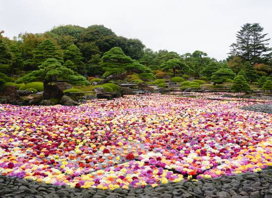 岡山 から 足立 美術館 バス 人気